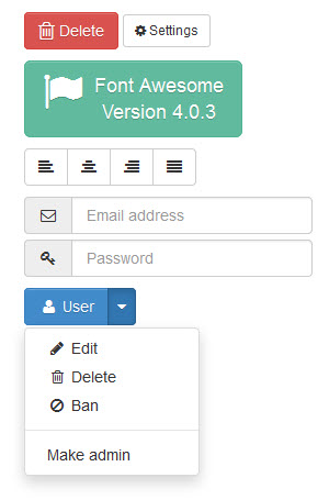 Exemple icone intégrée dans menu bouton